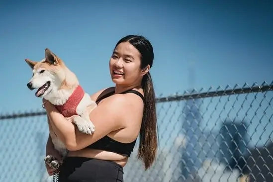 Dog in runners arms outside