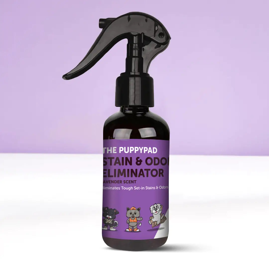 Odor Eliminator Spray