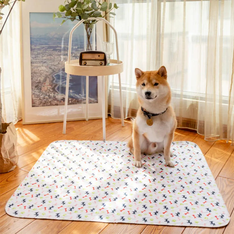 Potty Pads For Dogs